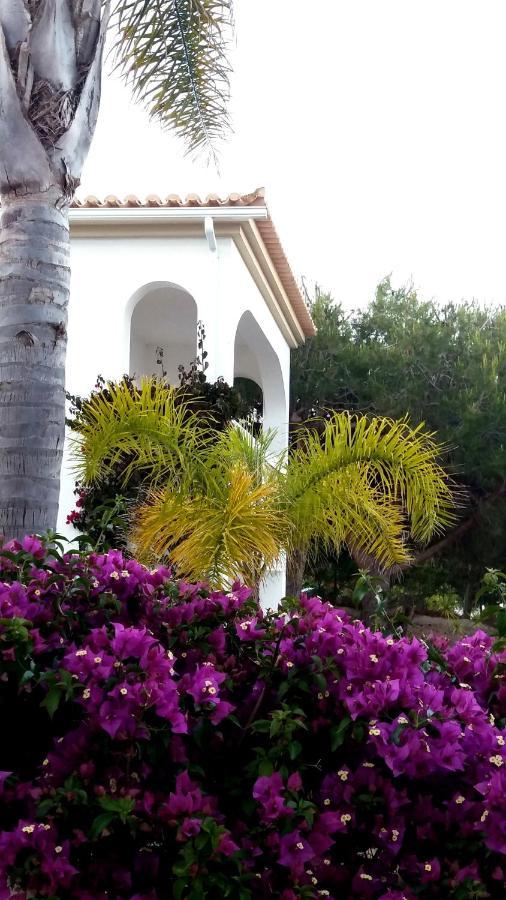 Queen Palm Senhora da Luz 외부 사진