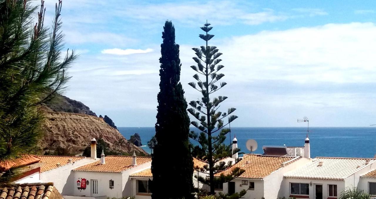 Queen Palm Senhora da Luz 외부 사진