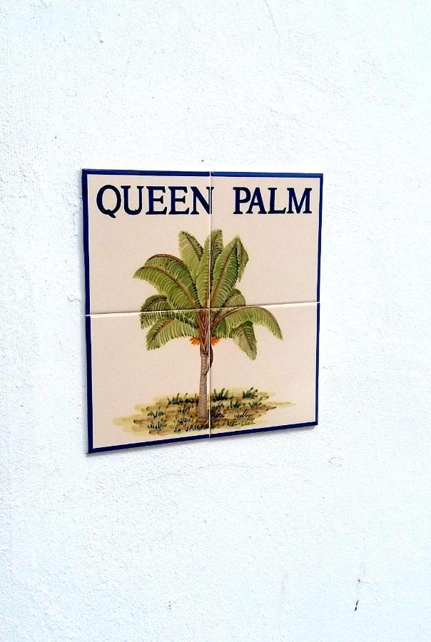 Queen Palm Senhora da Luz 외부 사진